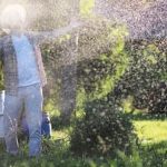 Colorful vegetables, flowers, gardening tools in vibrant garden setting