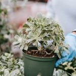 choosing the right containers for successful yields