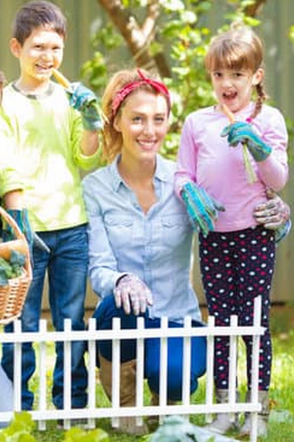 Explore the beauty of Famous French Vegetable Gardens, showcasing unique and vibrant produce