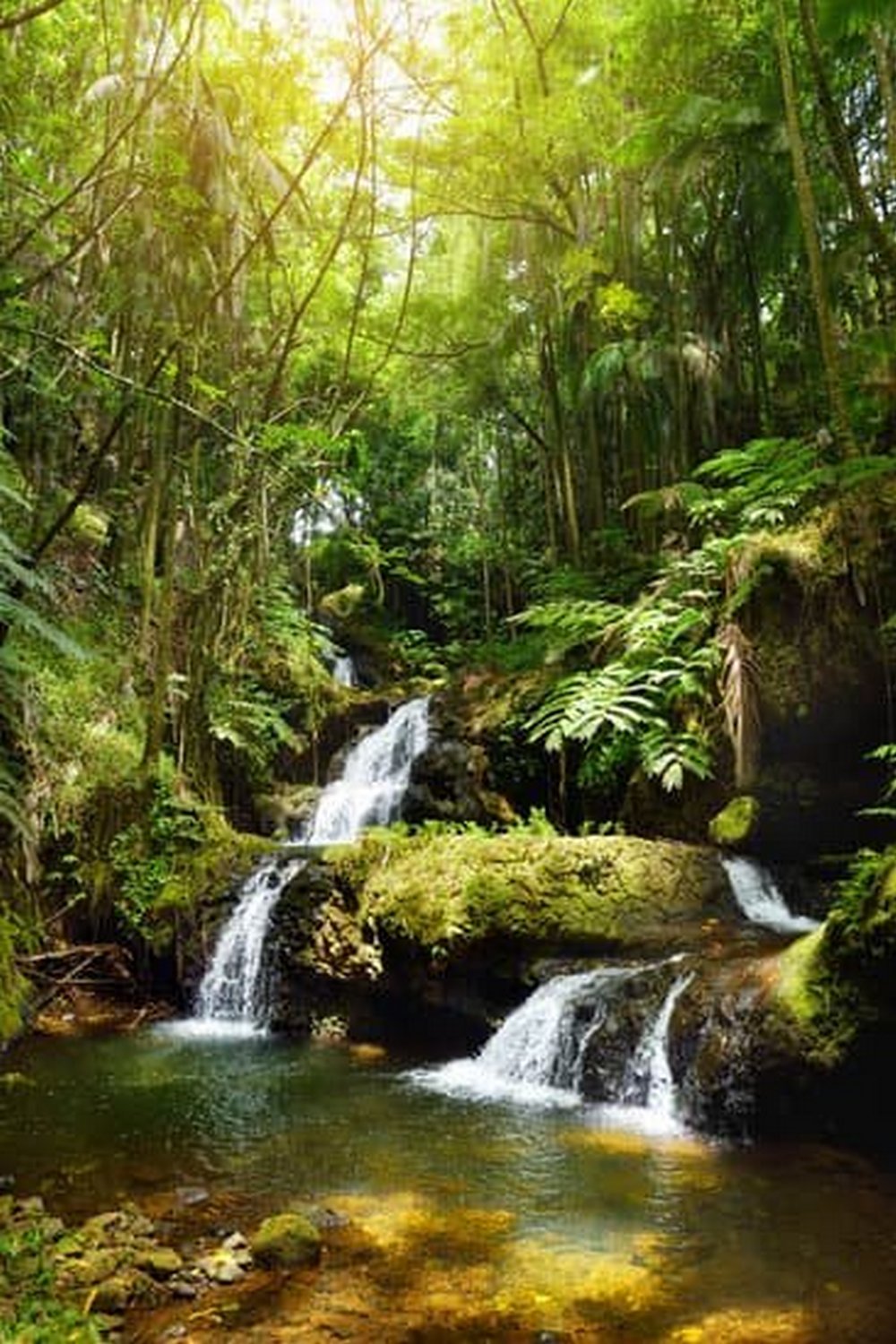 Is Weed Block Safe for Vegetable Gardens 1 Safe weed block fabric for vegetable gardens. Choose weed block to protect your veggies