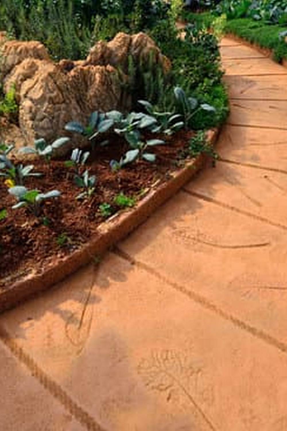 Get started with these essential beginning vegetable gardening tips for a successful garden