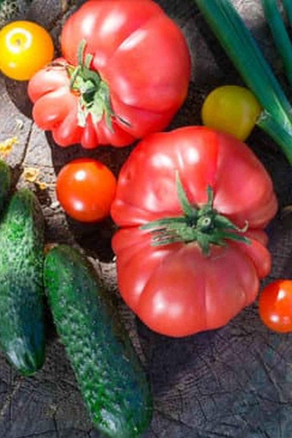 Explore vibrant pubick roof vegetable gardens in New York City for sustainable urban farming experiences