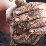 Eco-friendly option using vinegar and soap