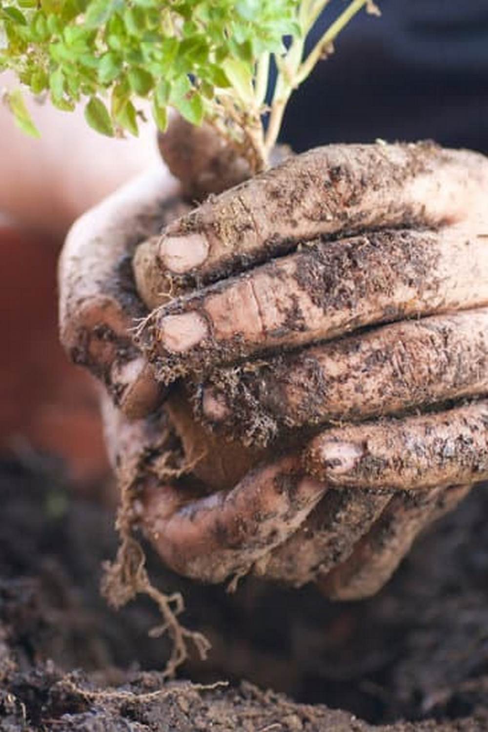 Eco-friendly option using vinegar and soap