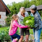 Best Vegetable Gardening Apps 2018 best vegetable gardening apps 2018