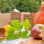 - Discover thriving vegetable gardening in San Antonio with expert tips and tricks