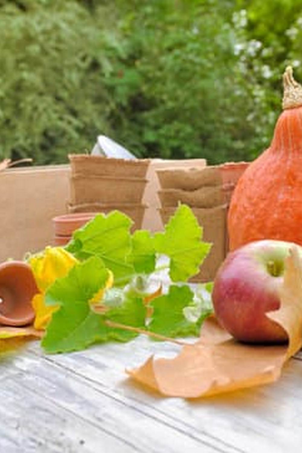 - Discover thriving vegetable gardening in San Antonio with expert tips and tricks