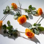 Deck Vegetable Gardens Vibrant deck vegetable gardens with tomatoes, herbs, and colorful flowers in pots