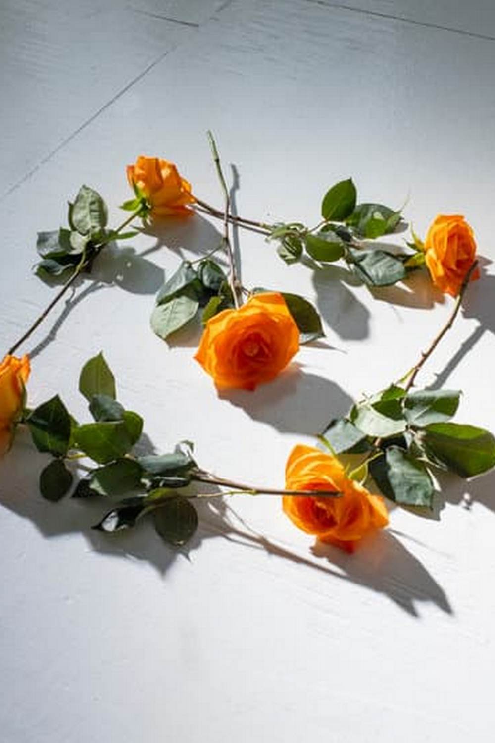 Vibrant deck vegetable gardens with tomatoes, herbs, and colorful flowers in pots
