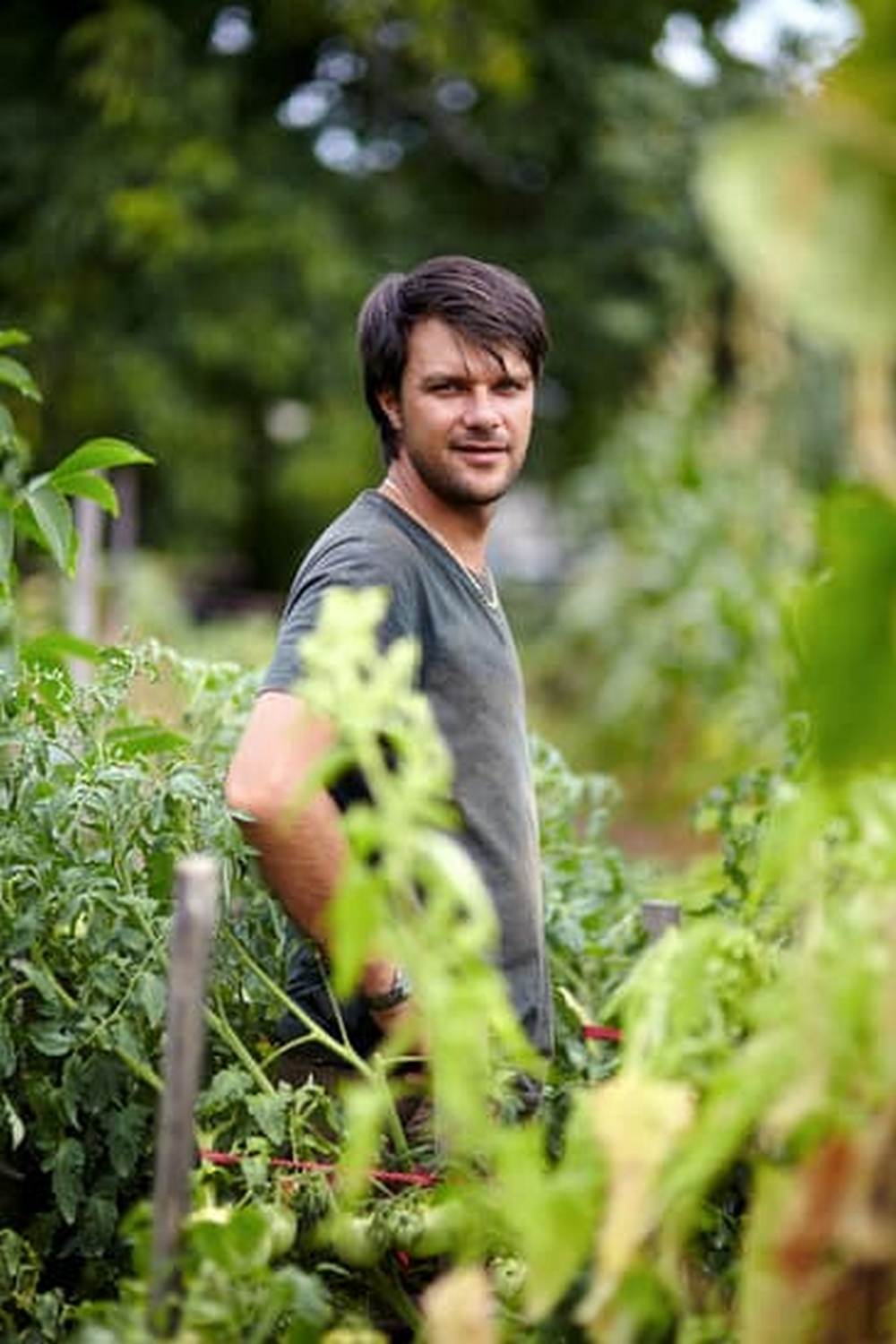 Explore gardening vegetables by region in the US for a bountiful harvest year-round