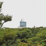 Explore top-rated beginner-friendly vegetable gardening books in the UK for best results