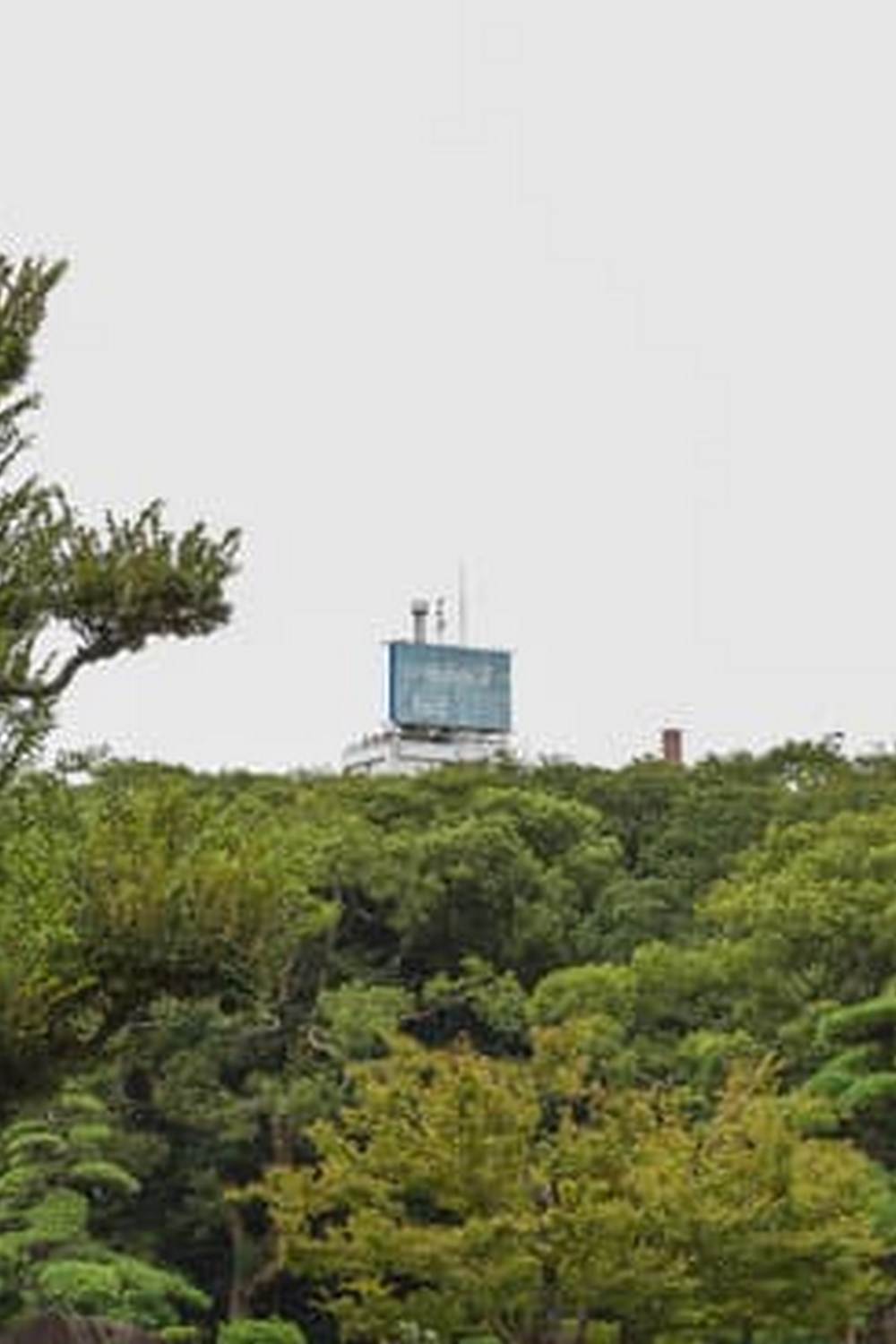 Explore top-rated beginner-friendly vegetable gardening books in the UK for best results