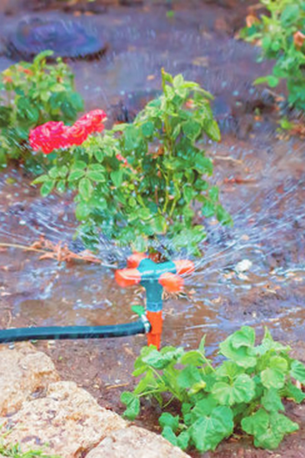 Discover expert EASY VEGETABLE GARDENING TIPS for beginners to grow their own produce successfully