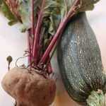 Efficiently plan your vegetable garden with our user-friendly software for vegetable gardening planning