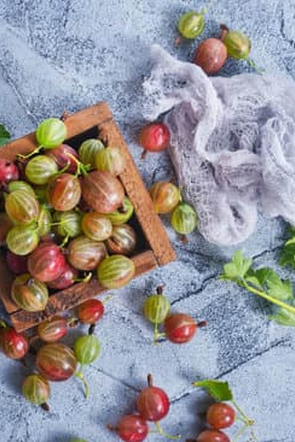 Explore stunning photos of beautiful small vegetable gardens showcasing colorful and aromatic plants