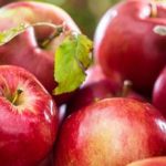 Invest in vegetable gardens for fresh, organic produce and sustainable living options