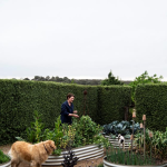 Vibrant spring vegetable gardening tips in Las Vegas for a successful harvest