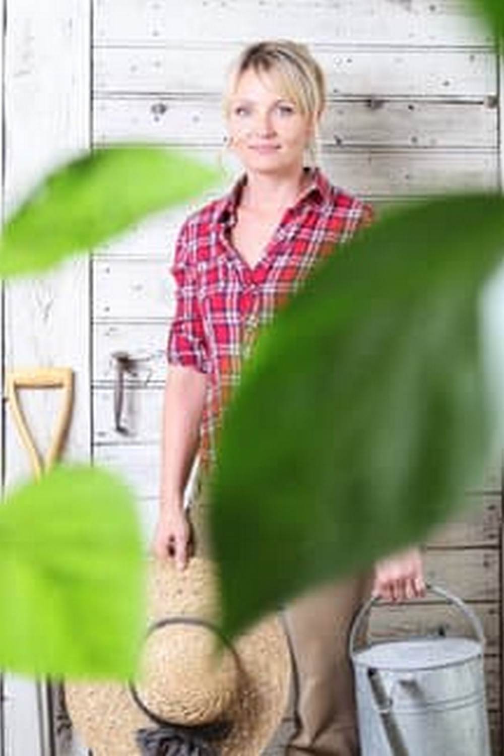 Nutrient-rich mycelium for optimizing vegetable garden growth