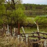 Explore diverse vegetable gardens worldwide