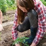 fresh produce, physical activity, and stress relief