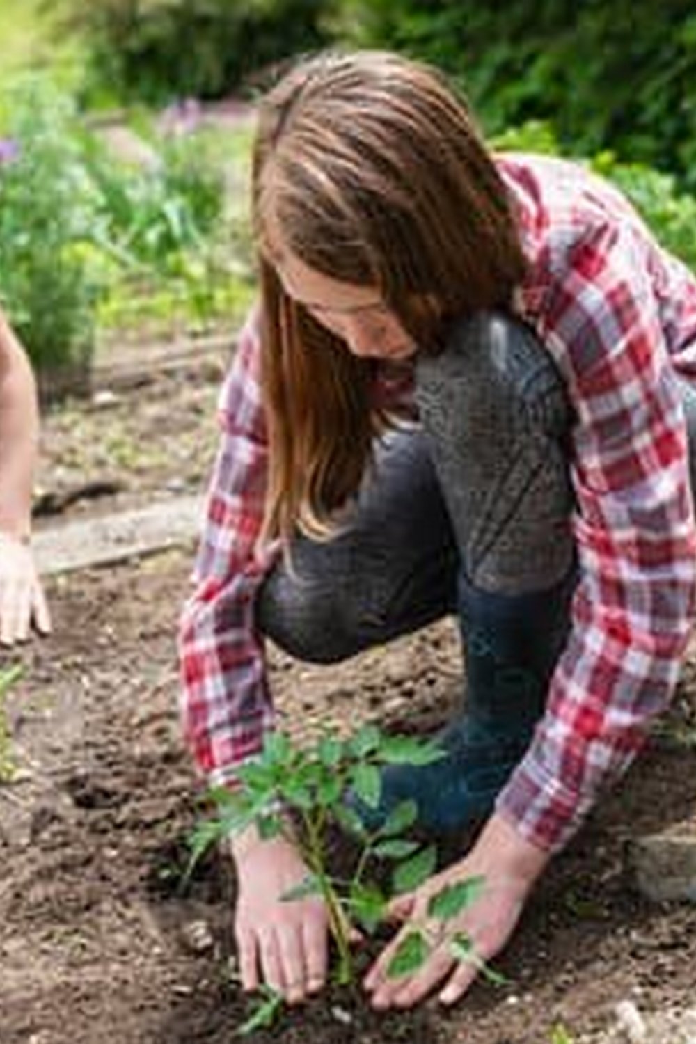 fresh produce, physical activity, and stress relief