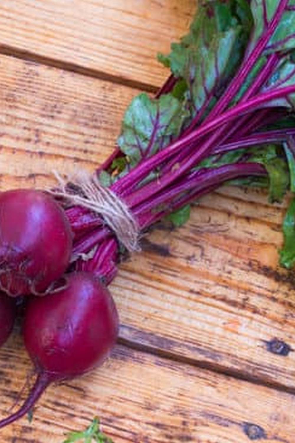 Thriving crops in a Zone 5A climate, tips for success