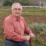 Organic Neem Oil Spray for Effective Pest Control