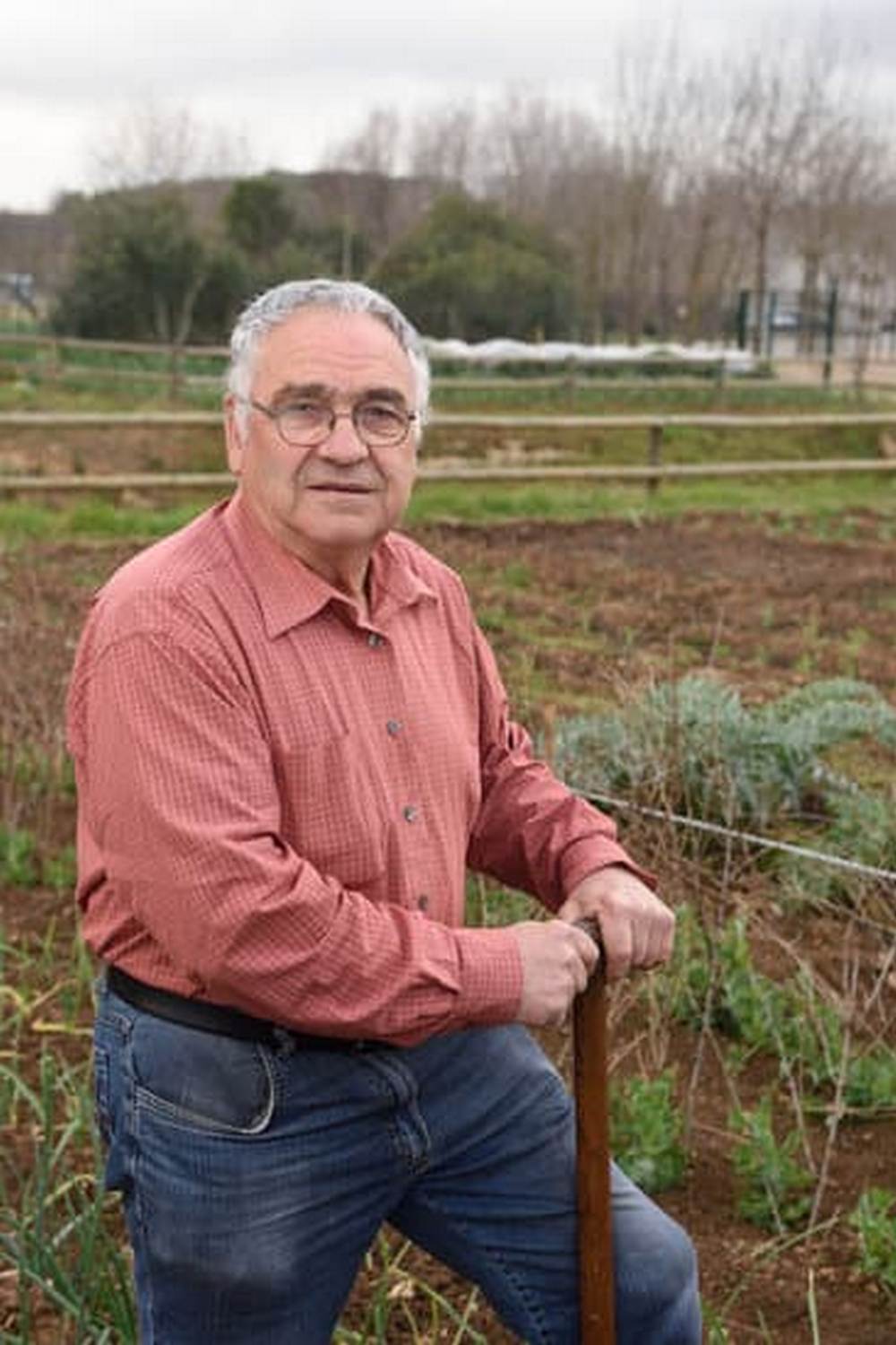 Organic Neem Oil Spray for Effective Pest Control