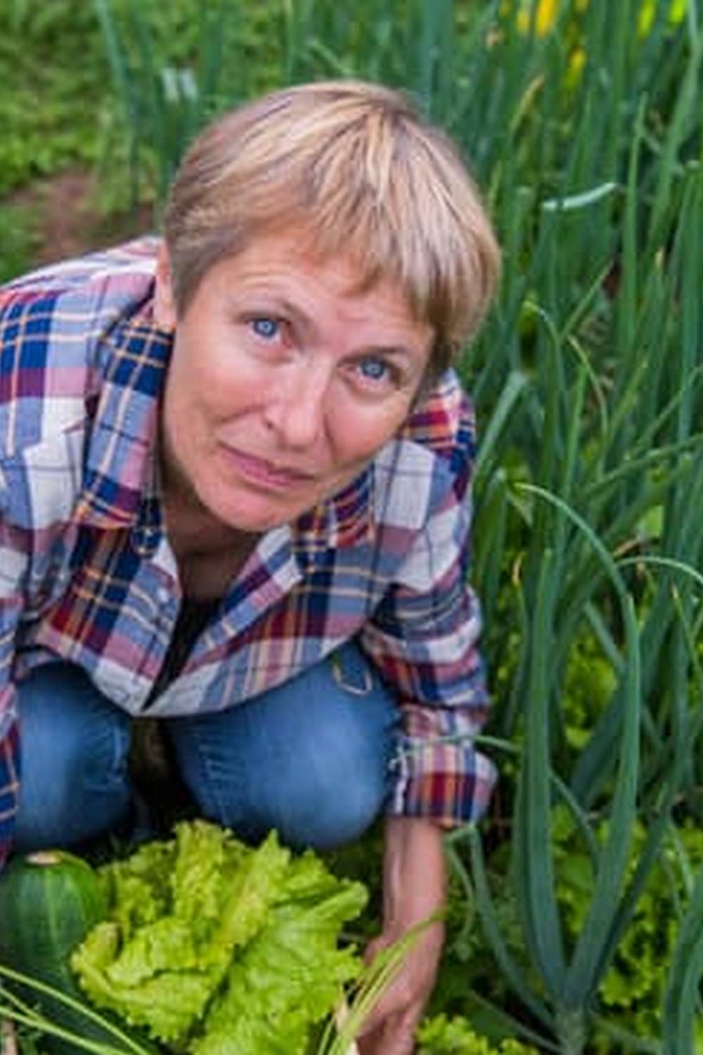 tomatoes, cucumbers, peppers, lettuce, and beans