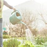 Enhance your vegetable garden with companion flowers for enhanced growth and beauty