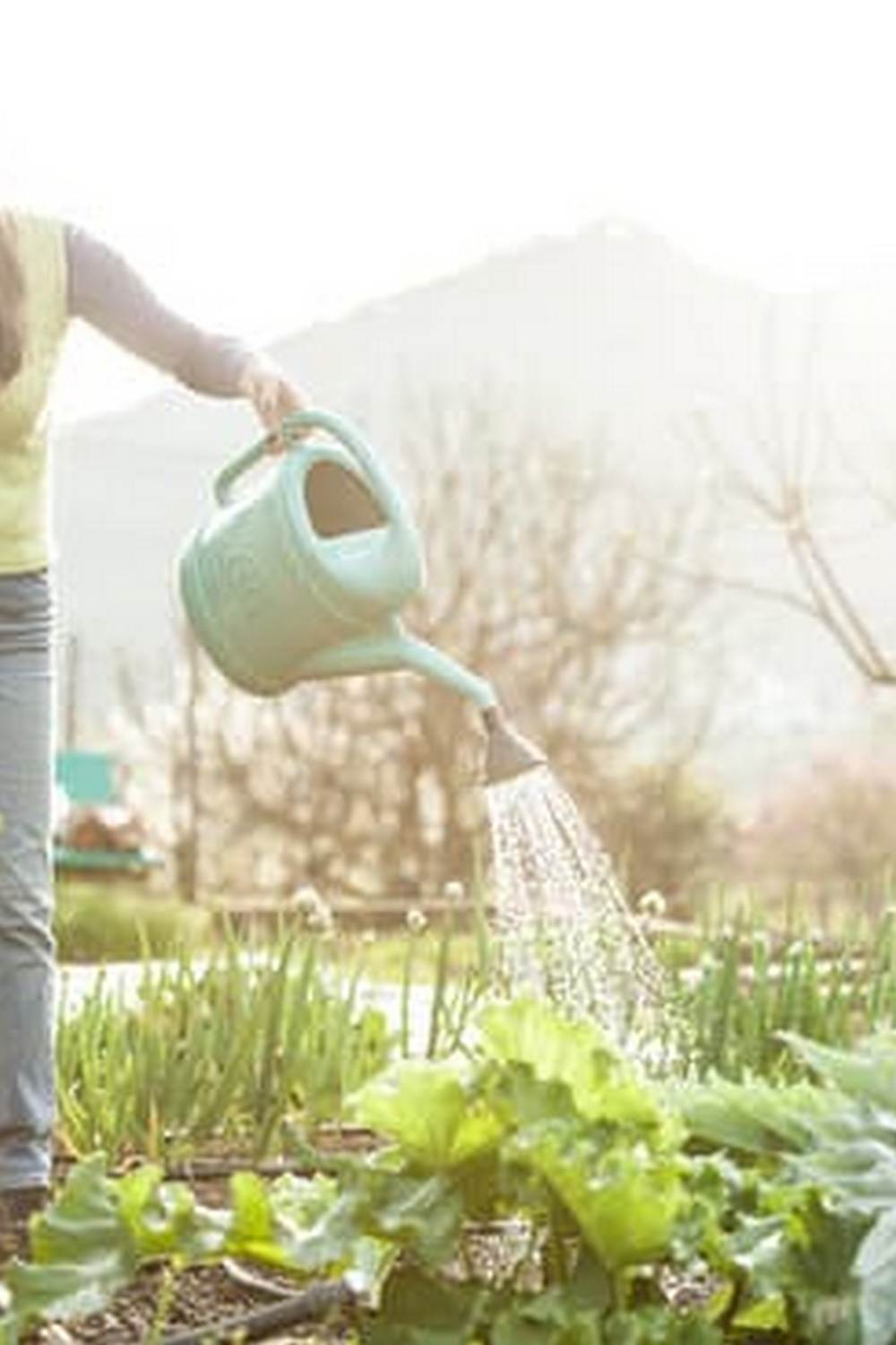 Enhance your vegetable garden with companion flowers for enhanced growth and beauty