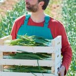 Is Acq Treated Pine Safe for Vegetable Gardens ACQ-treated pine is suitable for raised beds, rot-resistant and long-lasting