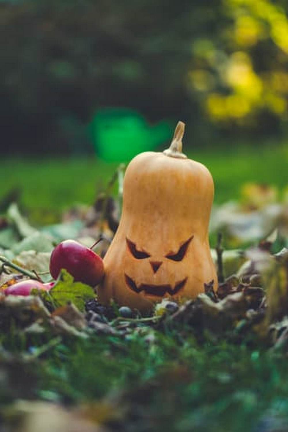 Fresh produce grown with care near scenic lakes