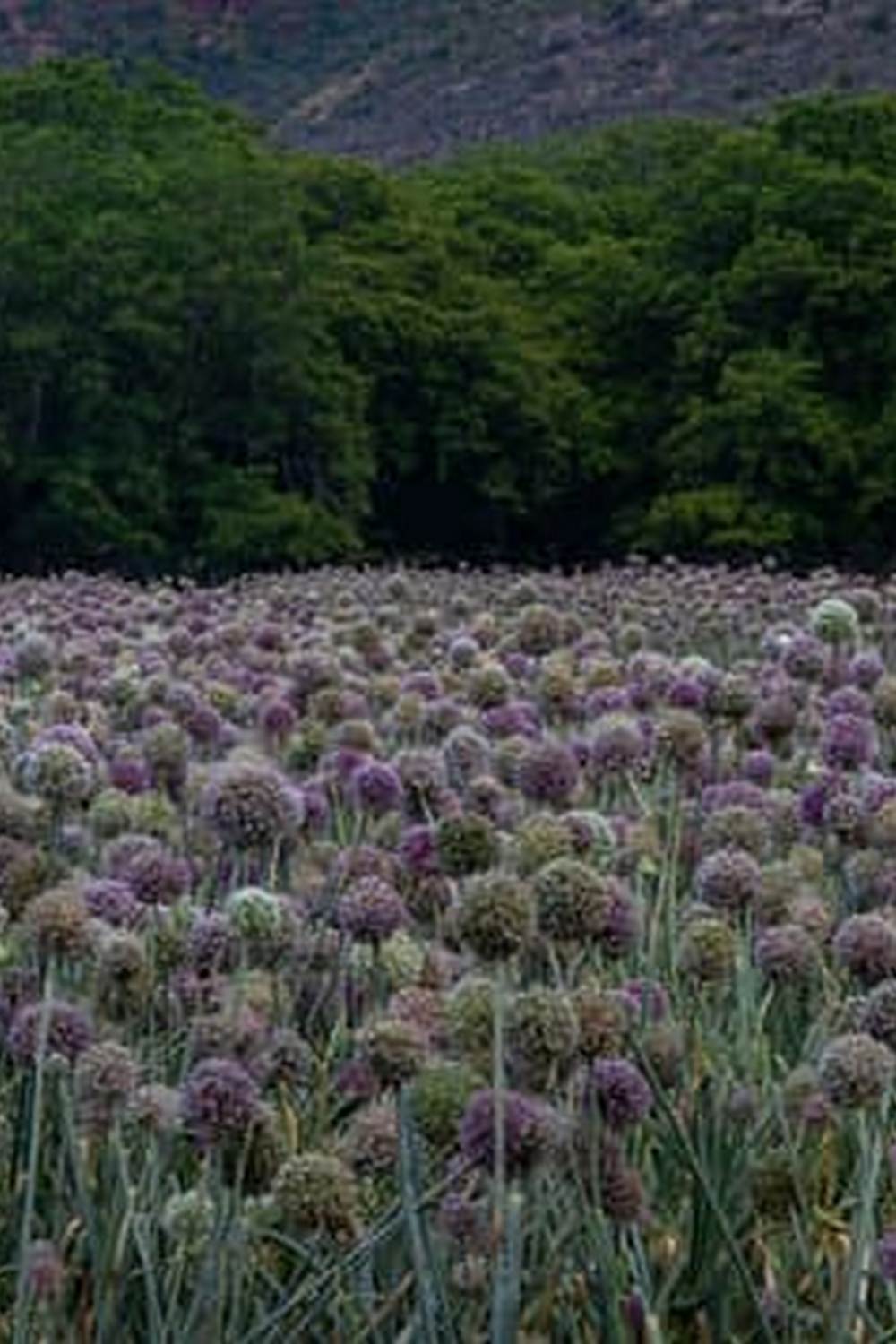 how to thrive in the Land of 10,000 Lakes