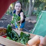 First Time Gardener Growing Vegetables First Time Gardener Growing Vegetables - Step-by-step tips for successful gardening journey