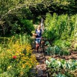 Thriving vegetable garden in arid desert climate with sustainable water practices