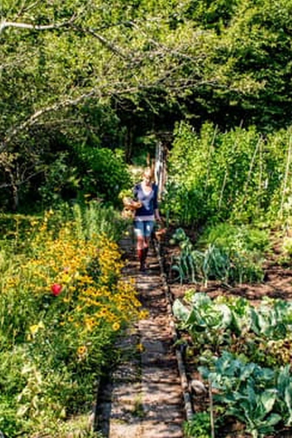 Thriving vegetable garden in arid desert climate with sustainable water practices