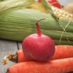 Organic gardening vegetable seeds for a bountiful harvest of fresh produce grown at home