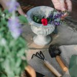 Promoting sustainable gardening practices for local residents