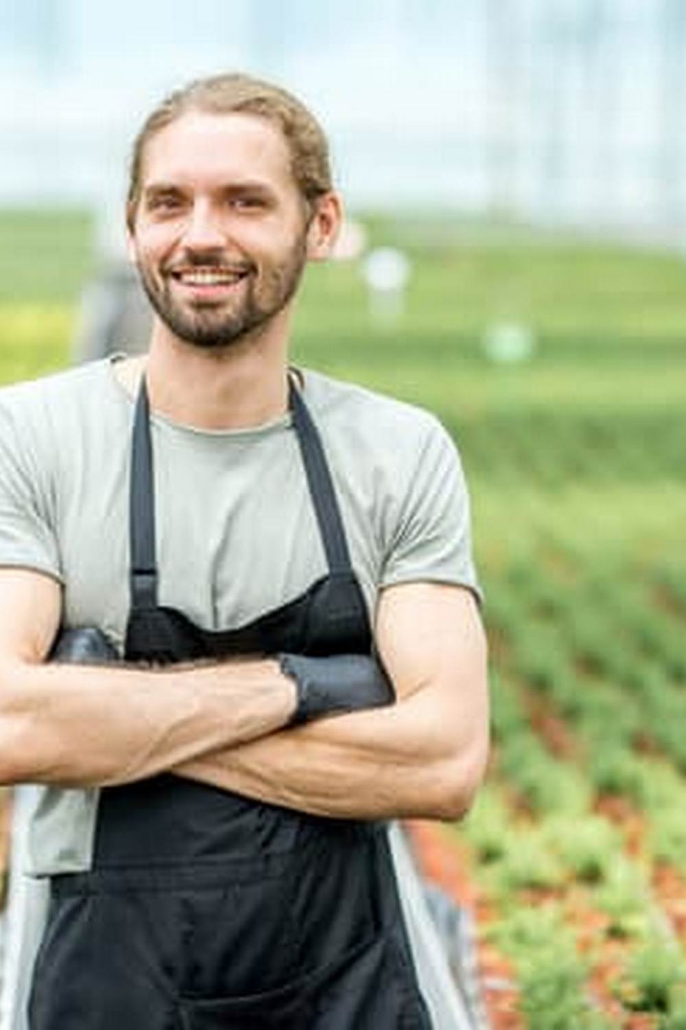 Maximize harvest with crop rotation and proper watering techniques