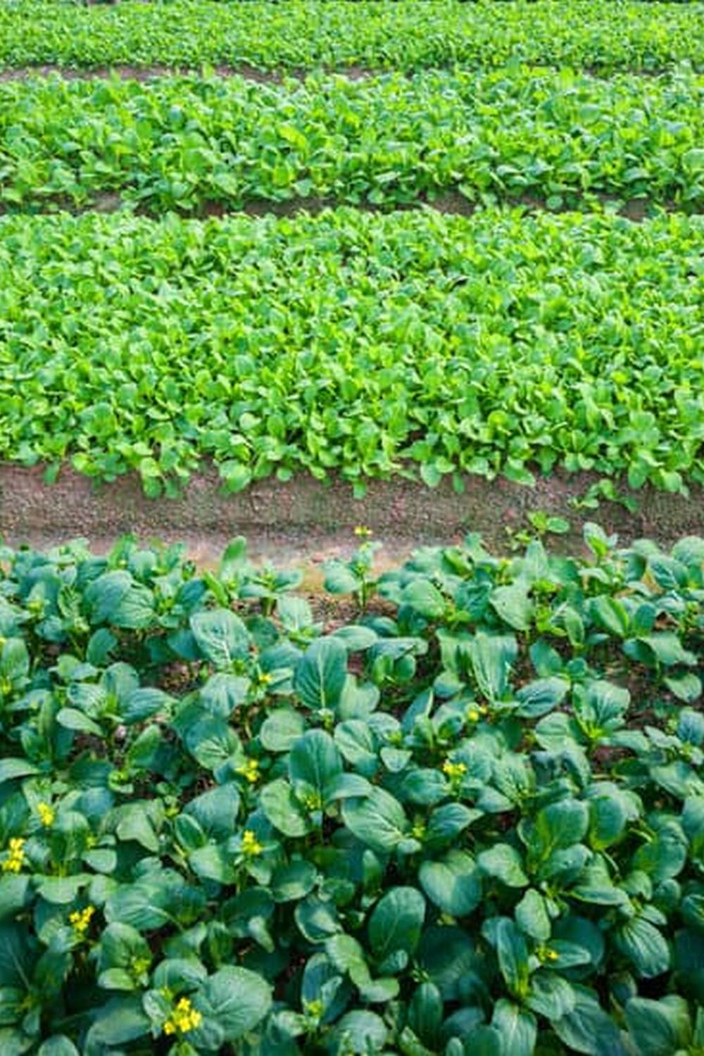 tips, tricks, and advice for success