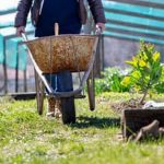 The Wisconsin Vegetable Gardener - Organic gardening tips and tutorials for beginners and experts alike