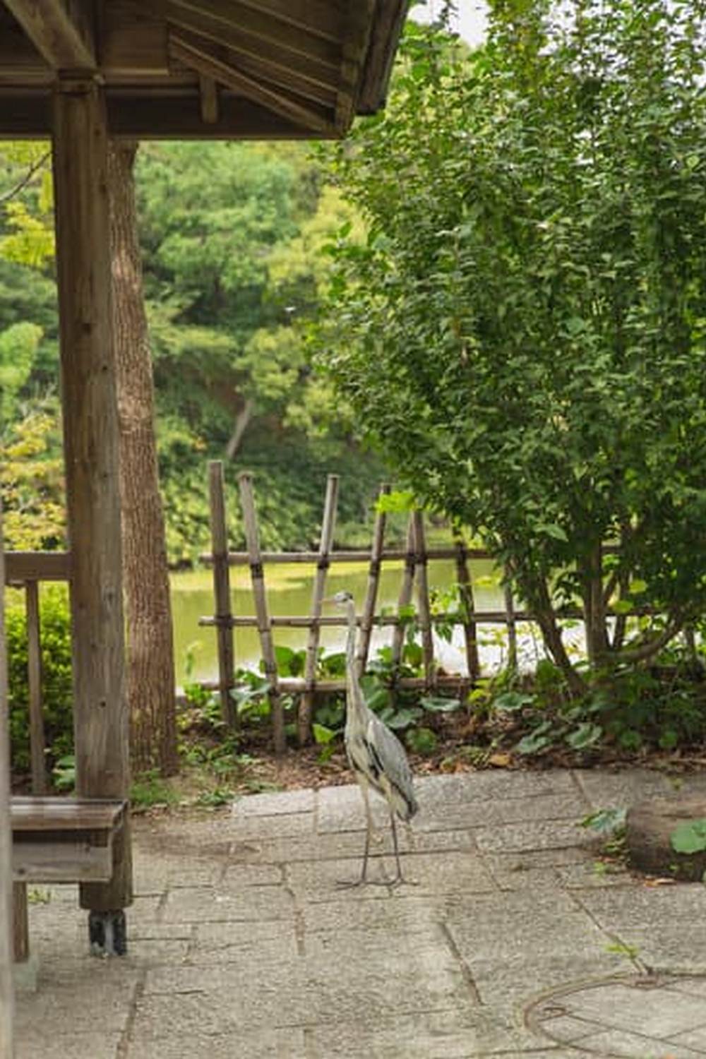 a vital guide for gardeners