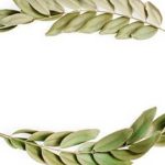 wait 6-12 months for composting