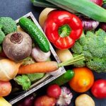 Lush San Antonio vegetable garden with a variety of crops thriving in the Texan sun
