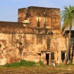 best vegetables for success in your indoor garden