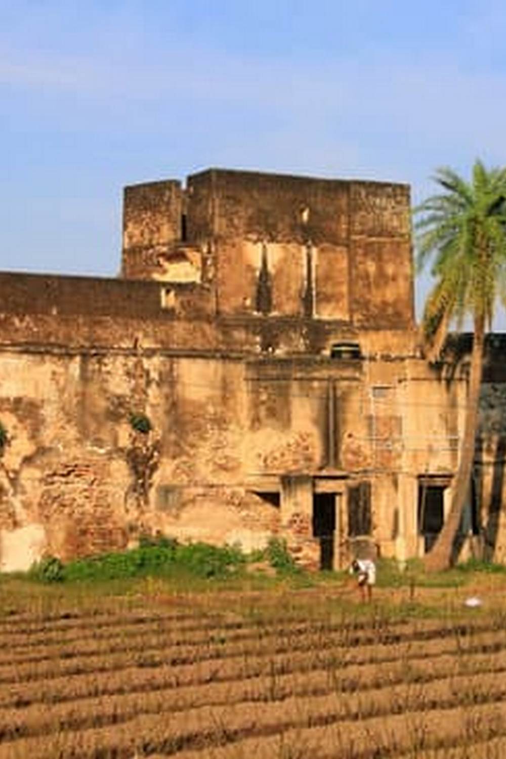 best vegetables for success in your indoor garden