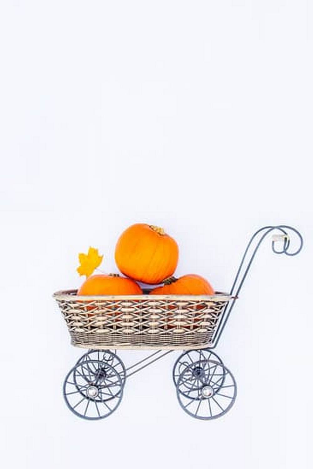 Curious if rats like vegetable gardens Learn more about the relationship between rats and vegetable gardens