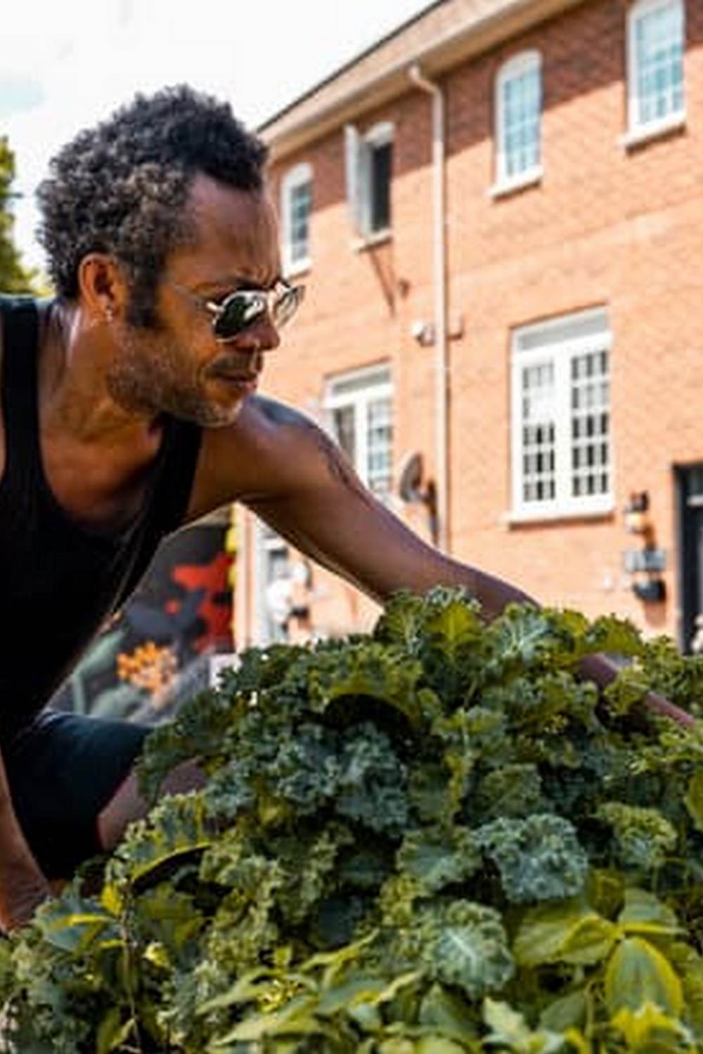 safe, effective, organic solution for pest control