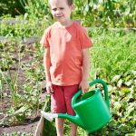 Effortless container vegetable gardening tips, perfect for beginners wanting to grow fresh produce easily